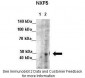 NXF5 antibody - middle region